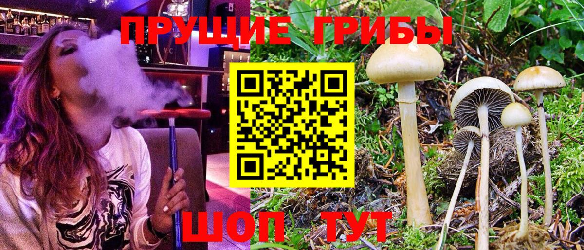 Липецк  Галлюциногенные грибы Psilocybe  Вход с VPN  Псилоцибиновые грибы Psilocybe 