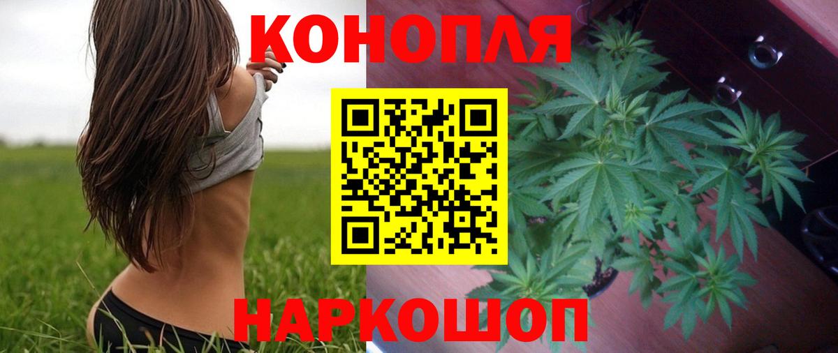 Липецк  Канабис OG Kush  Бошки марихуана план  Вход с VPN 